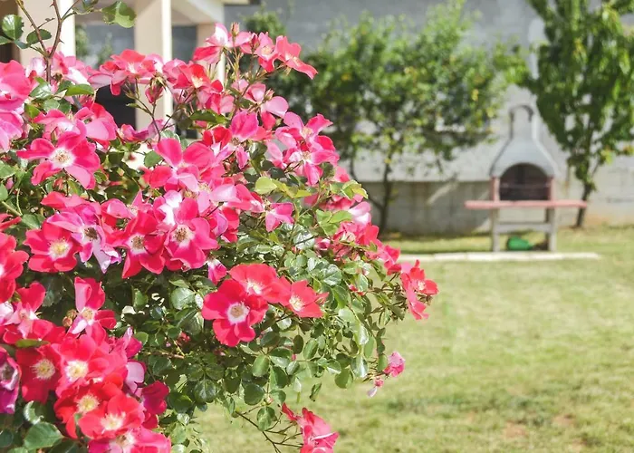 Appartement Damir For 8 Labin-rabac Santalezi