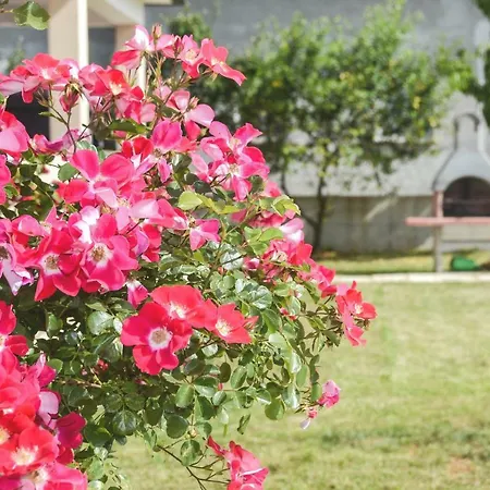 Апартаменты Damir For 8 Labin-rabac Santalezi